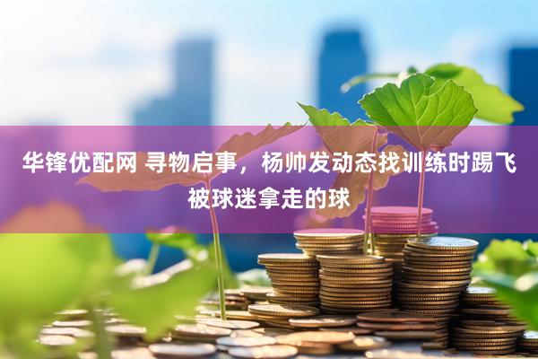 华锋优配网 寻物启事，杨帅发动态找训练时踢飞被球迷拿走的球
