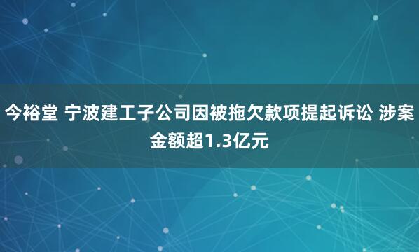 今裕堂 宁波建工子公司因被拖欠款项提起诉讼 涉案金额超1.3亿元