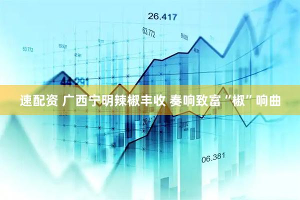 速配资 广西宁明辣椒丰收 奏响致富“椒”响曲