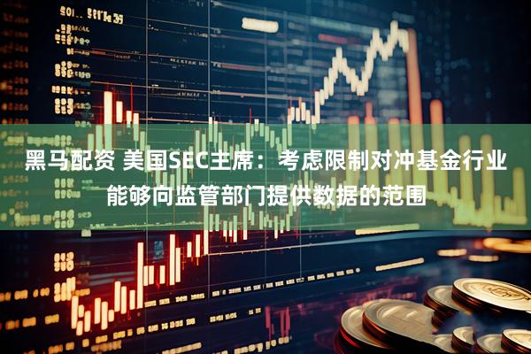 黑马配资 美国SEC主席：考虑限制对冲基金行业能够向监管部门提供数据的范围