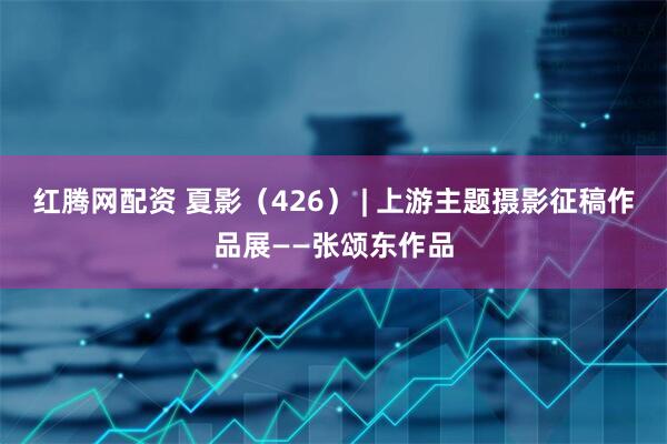 红腾网配资 夏影（426） | 上游主题摄影征稿作品展——张颂东作品