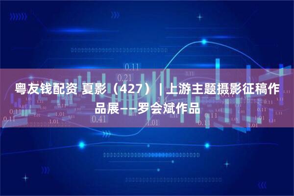 粤友钱配资 夏影（427） | 上游主题摄影征稿作品展——罗会斌作品