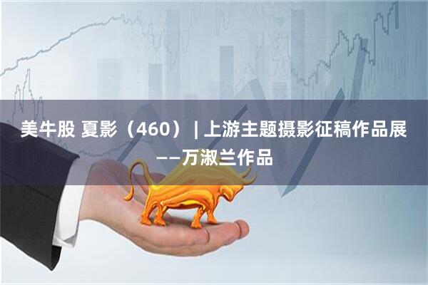 美牛股 夏影（460） | 上游主题摄影征稿作品展——万淑兰作品