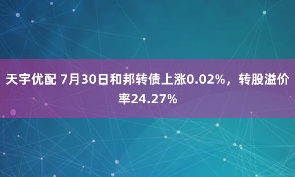 天宇优配 7月30日和邦转债上涨0.02%，转股溢价率24.27%