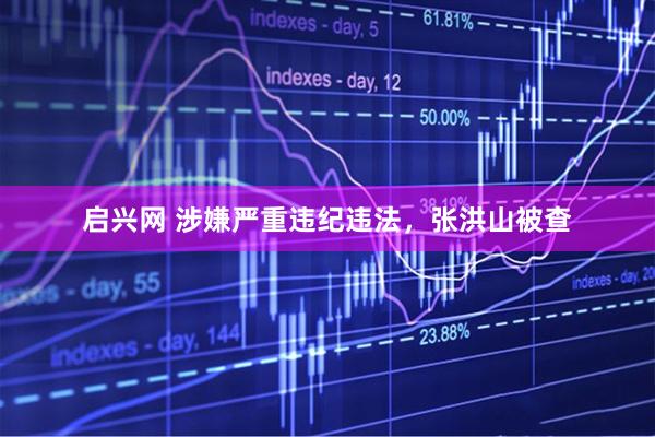 启兴网 涉嫌严重违纪违法，张洪山被查