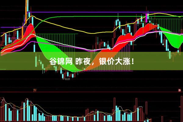 谷锦网 昨夜，银价大涨！